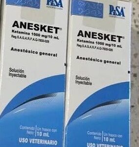 anesket 1000mg / 10ml